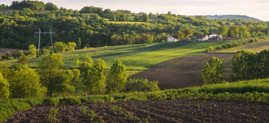 Скільки соток в одному гектарі: детальний перерахунок та пояснення