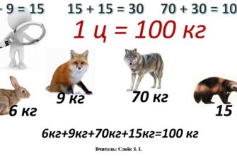 Скільки тонн містить центнер: чітка відповідь та пояснення