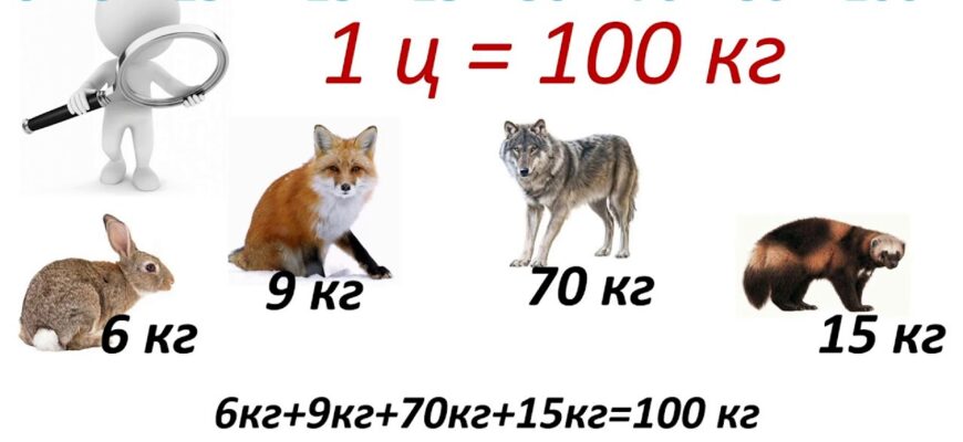 Скільки тонн містить центнер: чітка відповідь та пояснення