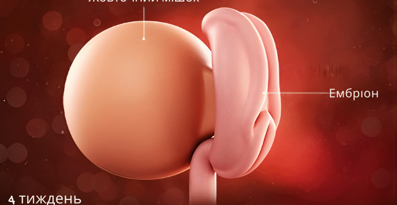 Скільки тижнів у році: дізнайтеся точну кількість днів у тижні