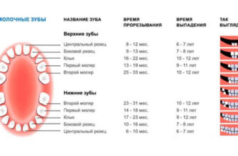 Скільки зубів має бути в дитини у 2 роки: норма та рекомендації