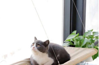 Сон, де тікаєте від бджіл: значення та приховані підказки підсвідомості