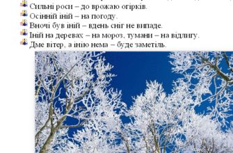 Сон про корів: Що означають ваші нічні бачення з худобою?