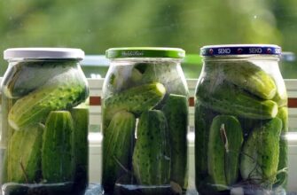 Сонник: до чого сняться огірки в банці і як трактувати цей образ?