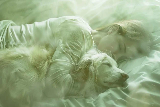 Сонник: до чого сниться собака - що означає - тдумачення ...