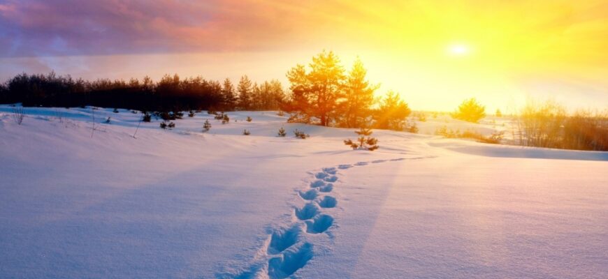 Сонник: до чого сниться зелена трава та її значення у ваших сновидіннях