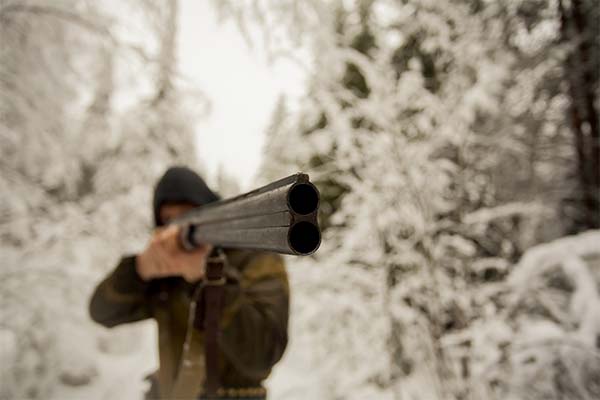 Сонник вбити вовка: до чого сниться і що означає сон про вбивство ...
