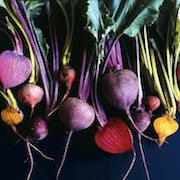 Тлумачення снів: що означає, якщо сниться кормовий буряк?