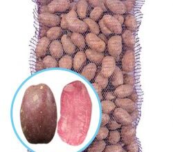 Цвіте чи ні: Особливості цвітіння картоплі сорту Рів’єра