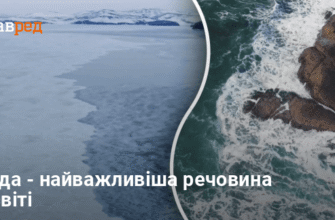 Вода: унікальні властивості, що впливають на життя на Землі