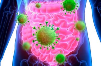 Як ефективно відновити мікрофлору кишечника після прийому антибіотиків