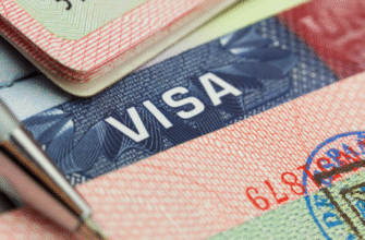 Як перевірити онлайн можливість виїзду за кордон: покрокова інструкція