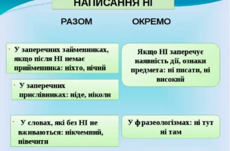 Як правильно: об’єкта чи об’єкту? Розбираємо всі нюанси в статті