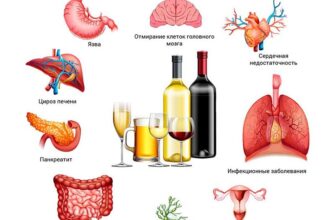 Як швидко та ефективно відновити організм після прийому антибіотиків
