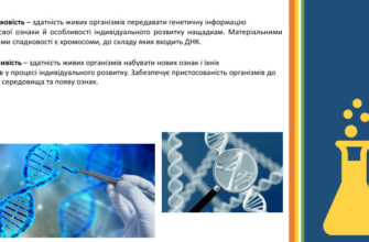 Як визначити здатність чоловіка до батьківства: ключові методи тестування
