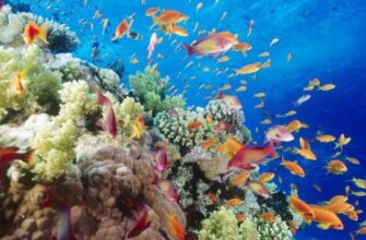 Яка з європейських країн не має виходу до моря: факти й приклади