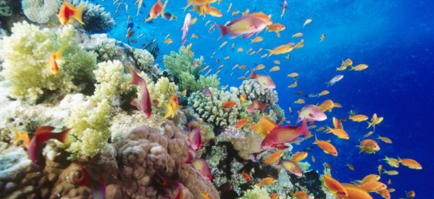 Яка з європейських країн не має виходу до моря: факти й приклади