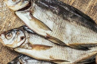 Якщо сниться риба: тлумачення сновидінь і значення символу риби