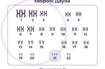 Який хромосомний набір має яйцеклітина: детальний огляд статі