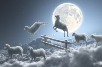 Значення снів про колишнього хлопця: що означає сон з понеділка на вівторок