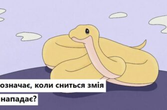 Значення снів про змію: що вам насправді хоче сказати підсвідомість