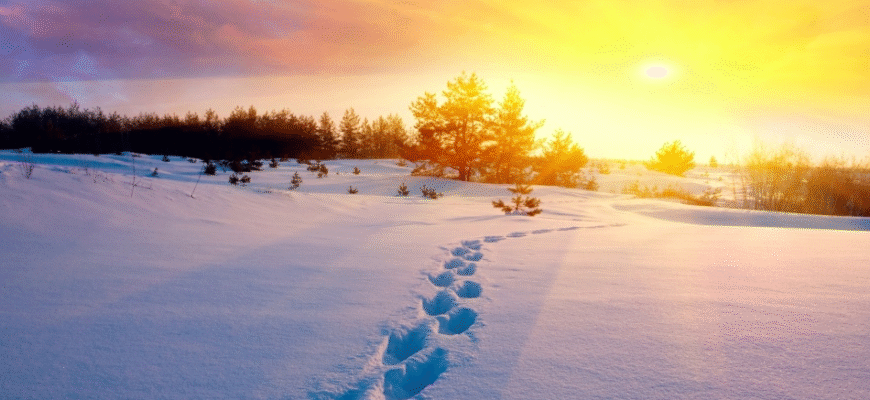 Значення сновидінь: до чого сниться багато снігу та його символіка