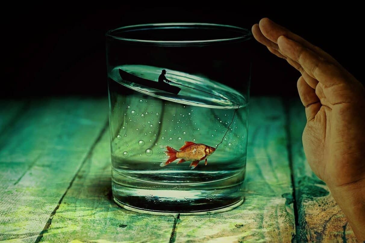 ДО ЧОГО СНИТЬСЯ РИБА – СОННИК, ТЛУМАЧЕННЯ Й ПРИКМЕТИ – ProZodiak