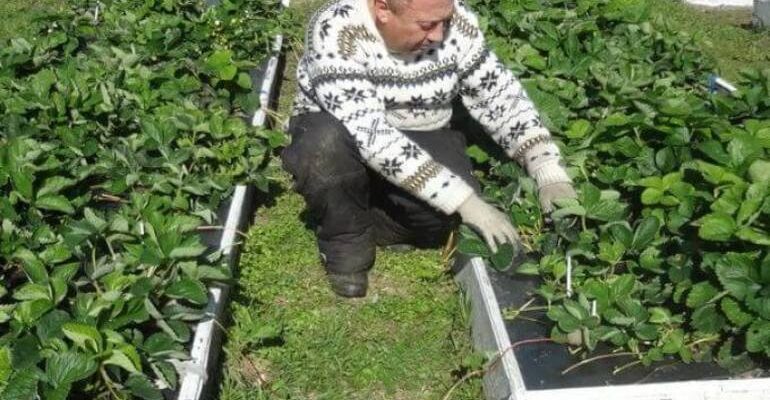 Значення сновидіння: до чого сниться город та грядки у вашому сні?