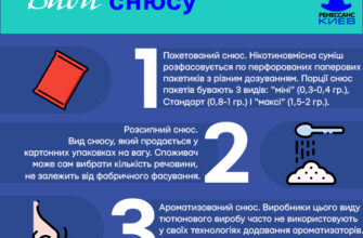 Значення сну: до чого сняться шершні та як це впливає на ваше життя