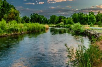 Значення сну: до чого сниться каламутна вода і що це передвіщає?