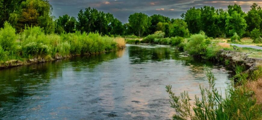 Значення сну: до чого сниться каламутна вода і що це передвіщає?