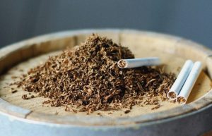 Значення та символіка сновидіння: до чого сниться садити картоплю?