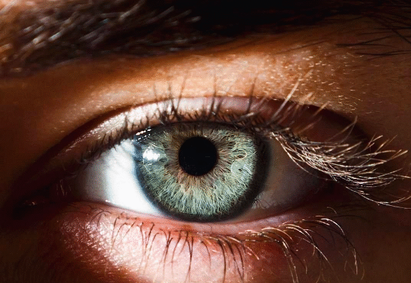 Значення зору для людини: як візуальне сприйняття впливає на життя Значення зору для людини: як візуальне сприйняття впливає на життя