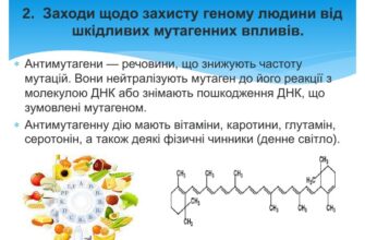 Антимутагени: Що Це Таке Та Як Вони Захищають Наш Організм?