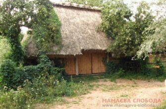 Як використати клуню: найкращі практичні поради та ідеї 2023 року