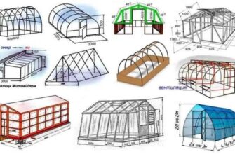 Як самостійно побудувати теплицю вдома: покрокова інструкція