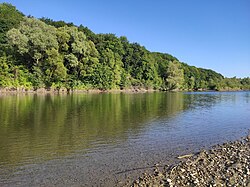 Велична річка Бистриця Солотвинська: історія, природа, цікаві факти