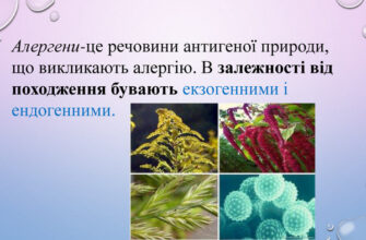 Алерген: що це таке, як виникає та як з ним боротися?