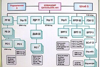Кількість батальйонів: скільки їх та яка роль у сучасній армії?