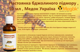 Як зробити настоянку з бджолиного підмору: покрокова інструкція