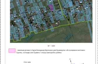 Як самостійно виконати викопіювання земельної ділянки: покрокова інструкція
