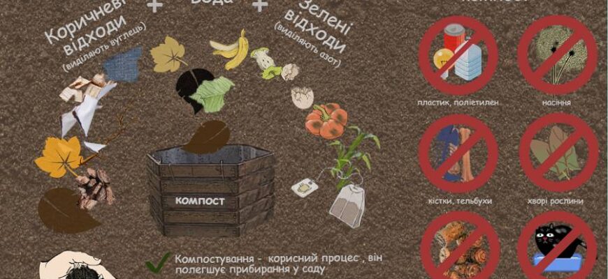 Як зробити компост: покрокова інструкція та поради для початківців