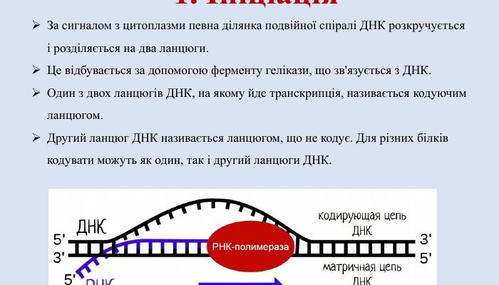 Ініціація в житті людини: значення, етапи та вплив на розвиток