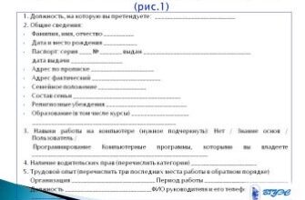 Покрокова інструкція: Як правильно скласти анкету – зразок і поради