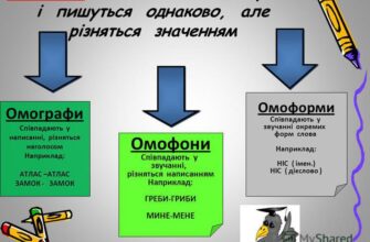 Омоформи: як різні значення одного слова змінюють наше сприйняття