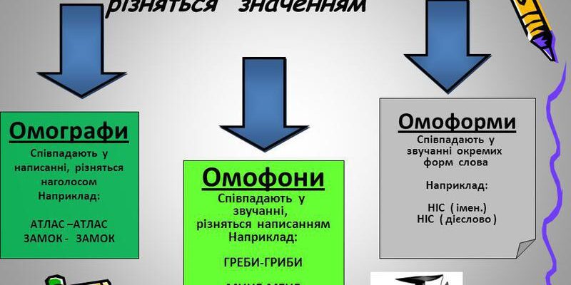 Омоформи: як різні значення одного слова змінюють наше сприйняття