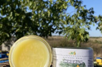 Як виготовити ефективну мазь з живиці: покрокова інструкція та поради