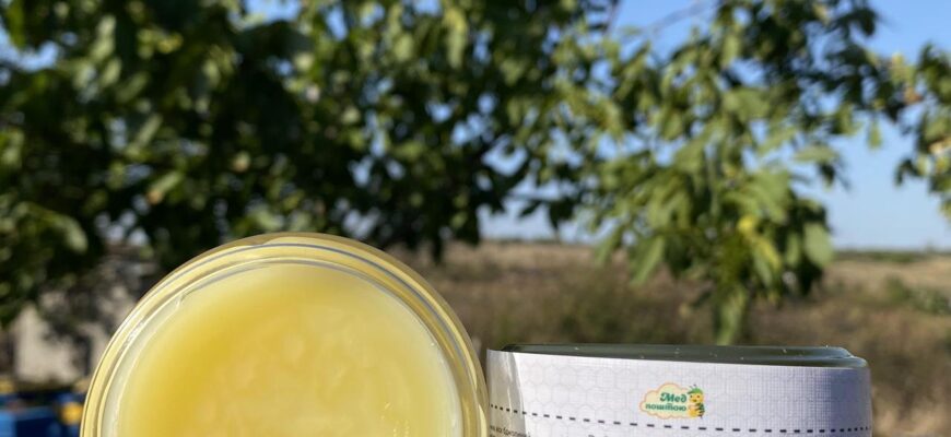 Як виготовити ефективну мазь з живиці: покрокова інструкція та поради