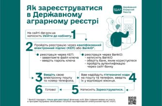 Дотація на корів 2024: покрокова інструкція з оформлення документів