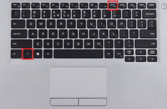 Як швидко зробити скріншот на ноутбуці HP: детальна інструкція